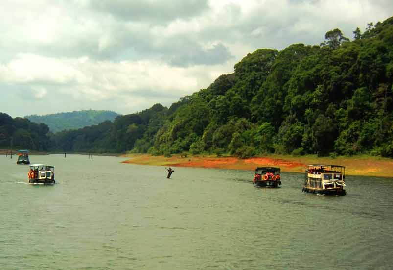 www.travellersinkerala.com