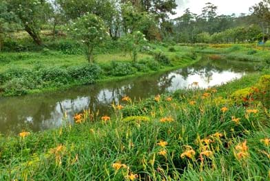 hydel park munnar